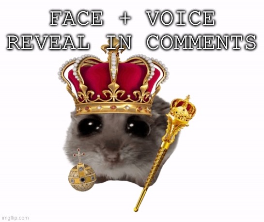 Anyone who has YouTube can see it | FACE + VOICE REVEAL IN COMMENTS | image tagged in reveal | made w/ Imgflip meme maker