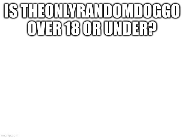 IS THEONLYRANDOMDOGGO OVER 18 OR UNDER? | made w/ Imgflip meme maker