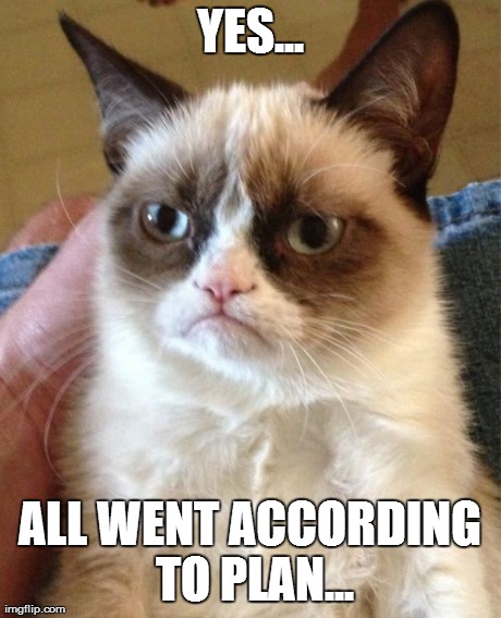 Grumpy Cat Meme | YES... ALL WENT ACCORDING TO PLAN... | image tagged in memes,grumpy cat | made w/ Imgflip meme maker