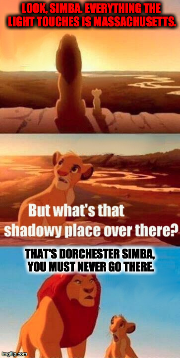 Simba Shadowy Place | LOOK, SIMBA. EVERYTHING THE LIGHT TOUCHES IS MASSACHUSETTS. THAT'S DORCHESTER SIMBA, YOU MUST NEVER GO THERE. | image tagged in memes,simba shadowy place | made w/ Imgflip meme maker