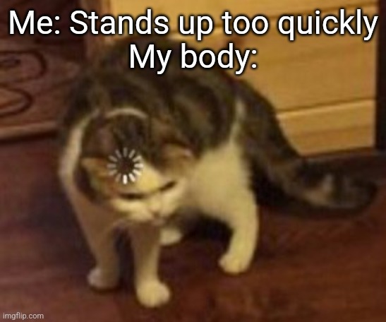 This happened to me lol | Me: Stands up too quickly
My body: | image tagged in loading cat | made w/ Imgflip meme maker