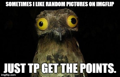 Weird Stuff I Do Potoo Meme | SOMETIMES I LIKE RANDOM PICTURES ON IMGFLIP JUST TP GET THE POINTS. | image tagged in memes,weird stuff i do potoo | made w/ Imgflip meme maker