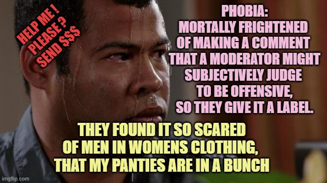 imgflip moderators are the best at esg: Timeout for you ! | PHOBIA:
MORTALLY FRIGHTENED 
OF MAKING A COMMENT 
THAT A MODERATOR MIGHT
SUBJECTIVELY JUDGE 
TO BE OFFENSIVE,
SO THEY GIVE IT A LABEL. HELP ME !
PLEASE ?
SEND $$$; THEY FOUND IT SO SCARED
OF MEN IN WOMENS CLOTHING, 
THAT MY PANTIES ARE IN A BUNCH | image tagged in sweating bullets,transphobic,labels,police state,snitch,kamala harris | made w/ Imgflip meme maker