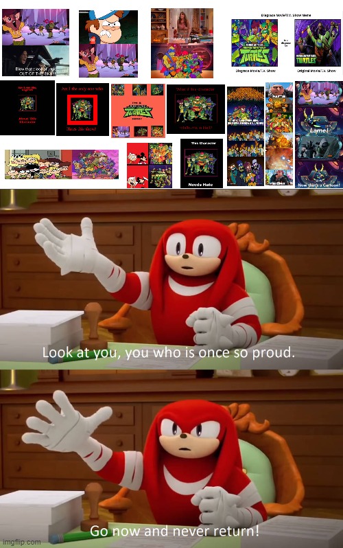 Knuckles is disappointed by Gboy2018's arts | image tagged in knuckles | made w/ Imgflip meme maker