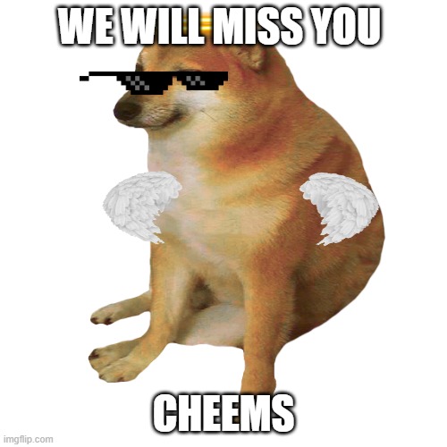 Respect | WE WILL MISS YOU; CHEEMS | image tagged in cheems,rip | made w/ Imgflip meme maker