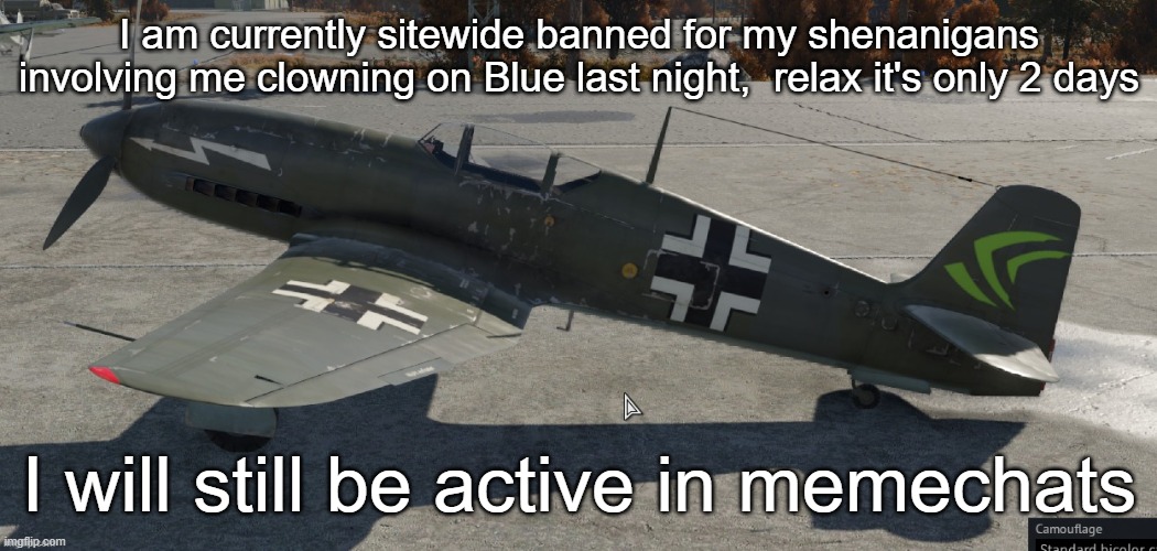 Nvidia plane | I am currently sitewide banned for my shenanigans involving me clowning on Blue last night,  relax it's only 2 days; I will still be active in memechats | image tagged in nvidia plane | made w/ Imgflip meme maker