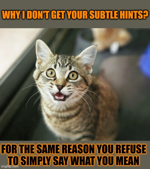 This #lolcat wonders why hoo-mens don't say what they mean | WHY I DON'T GET YOUR SUBTLE HINTS? FOR THE SAME REASON YOU REFUSE 
TO SIMPLY SAY WHAT YOU MEAN | image tagged in lolcat,mind,communication | made w/ Imgflip meme maker