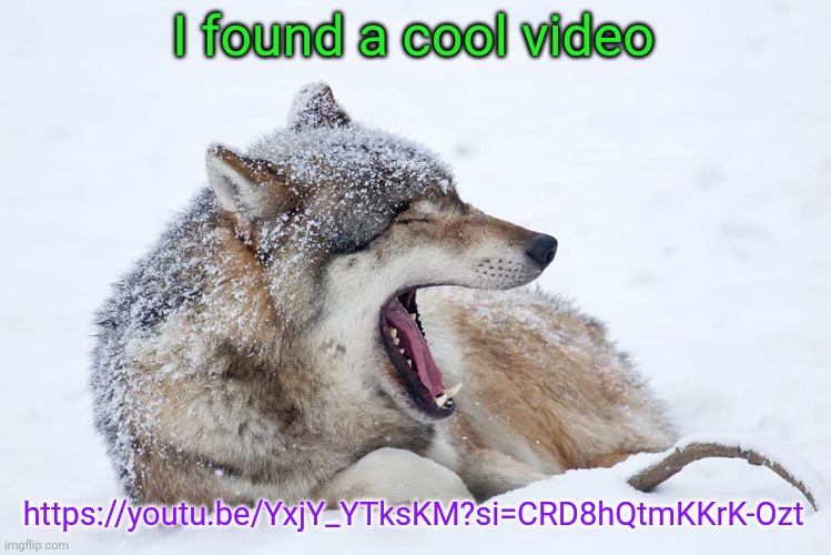 https://youtu.be/YxjY_YTksKM?si=CRD8hQtmKKrK-Ozt | I found a cool video; https://youtu.be/YxjY_YTksKM?si=CRD8hQtmKKrK-Ozt | image tagged in yawning wolf | made w/ Imgflip meme maker