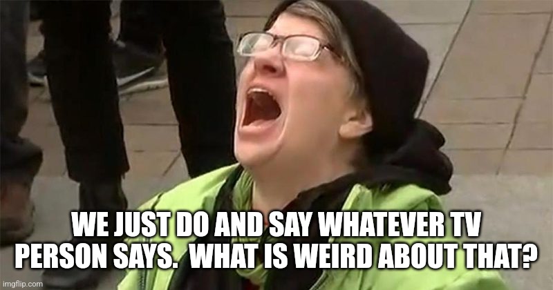 crying liberal | WE JUST DO AND SAY WHATEVER TV PERSON SAYS.  WHAT IS WEIRD ABOUT THAT? | image tagged in crying liberal | made w/ Imgflip meme maker