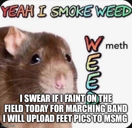 Aaaaaaaa | I SWEAR IF I FAINT ON THE FIELD TODAY FOR MARCHING BAND I WILL UPLOAD FEET PICS TO MSMG | image tagged in yeah i smoke w meth eed | made w/ Imgflip meme maker