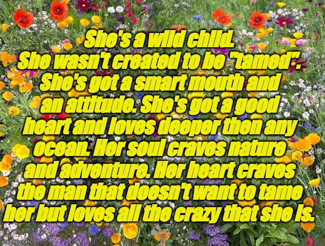 Wild child | She's a wild child. She wasn't created to be "tamed". She's got a smart mouth and an attitude. She's got a good heart and loves deeper then any ocean. Her soul craves nature and adventure. Her heart craves the man that doesn't want to tame her but loves all the crazy that she is. | image tagged in memes | made w/ Imgflip meme maker
