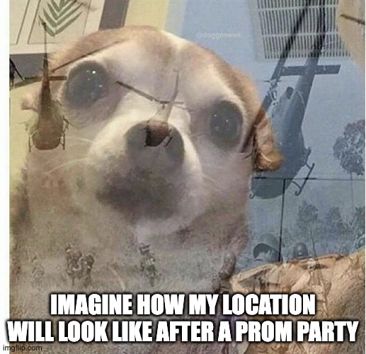 PTSD Chihuahua | IMAGINE HOW MY LOCATION WILL LOOK LIKE AFTER A PROM PARTY | image tagged in ptsd chihuahua | made w/ Imgflip meme maker