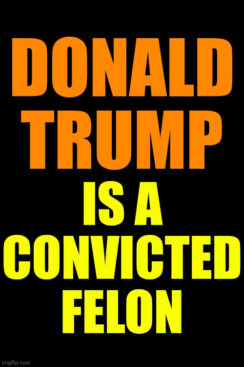 All His Guilty Verdicts Came From Republicans | DONALD
TRUMP; IS A
CONVICTED
FELON | image tagged in lock him up,trump unfit unqualified dangerous,trump is a convicted felon,guilty,traitor,memes | made w/ Imgflip meme maker