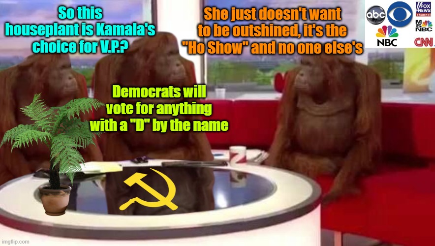 Kamala makes her pick | She just doesn't want to be outshined, it's the "Ho Show" and no one else's; So this houseplant is Kamala's choice for V.P.? Democrats will vote for anything with a "D" by the name | image tagged in trump,maga,election 2024,kamala harris | made w/ Imgflip meme maker