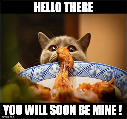 Desire ! | HELLO THERE; YOU WILL SOON BE MINE ! | image tagged in cats,chicken,desire | made w/ Imgflip meme maker