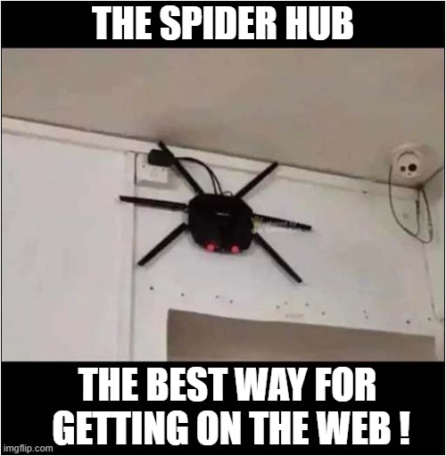 What Is That ? | THE SPIDER HUB; THE BEST WAY FOR
 GETTING ON THE WEB ! | image tagged in spider,hub,web,play on words | made w/ Imgflip meme maker