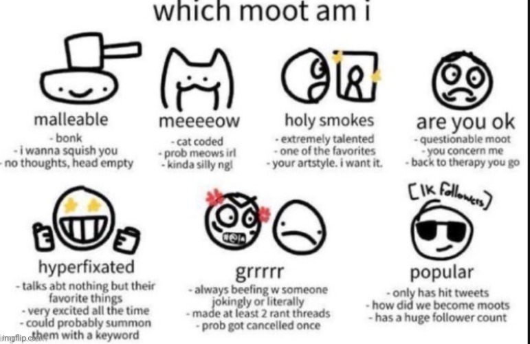 which moot am i | image tagged in which moot am i | made w/ Imgflip meme maker