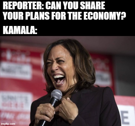 REPORTER: CAN YOU SHARE YOUR PLANS FOR THE ECONOMY? KAMALA: | image tagged in kamala laughing | made w/ Imgflip meme maker