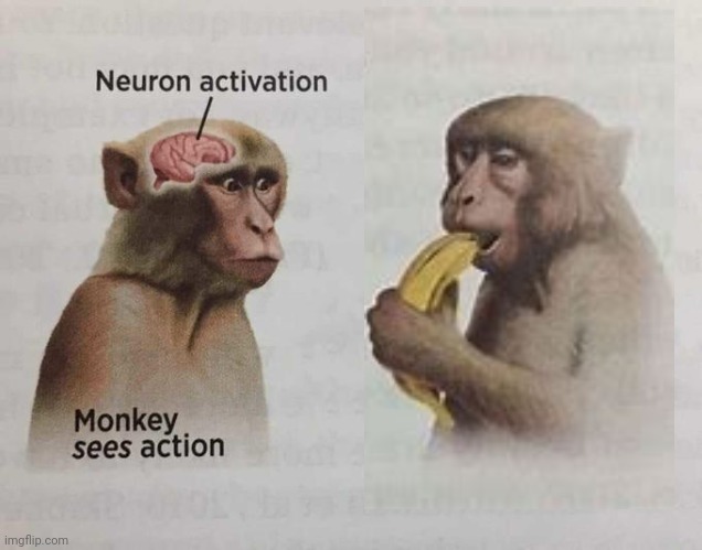 Monkey neuron activation | image tagged in monkey neuron activation | made w/ Imgflip meme maker