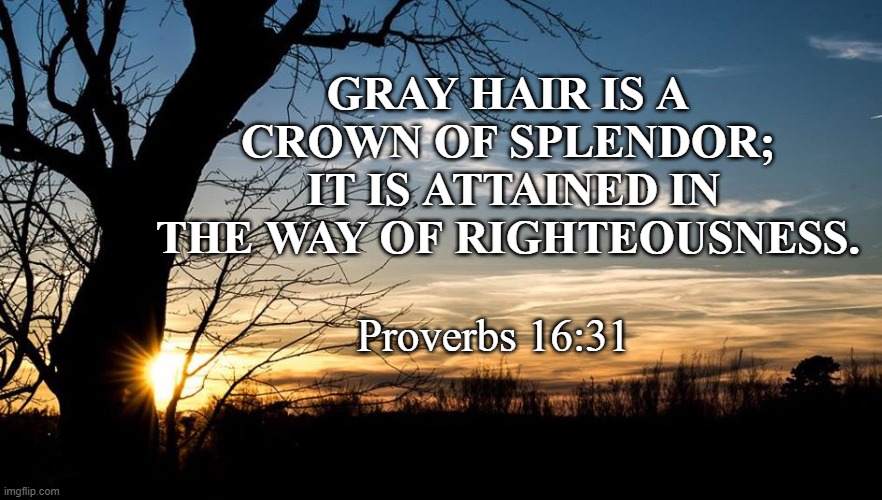 GRAY HAIR IS A CROWN OF SPLENDOR;
 IT IS ATTAINED IN THE WAY OF RIGHTEOUSNESS. Proverbs 16:31 | image tagged in aging,wisdom | made w/ Imgflip meme maker