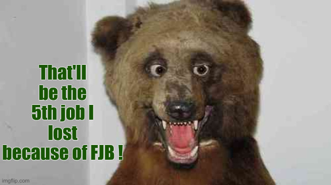 Bad Taxidermy Bear | That'll be the 5th job I lost because of FJB ! | image tagged in bad taxidermy bear | made w/ Imgflip meme maker