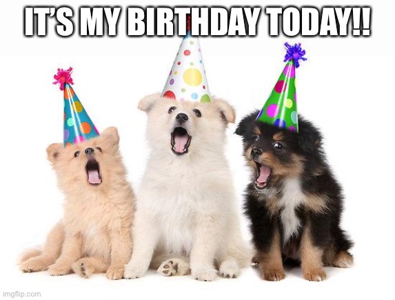 happy birthday to me lol | IT’S MY BIRTHDAY TODAY!! | image tagged in happy birthday puppies | made w/ Imgflip meme maker