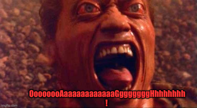 Total Recall Arnold | OooooooAaaaaaaaaaaaaGgggggggHhhhhhhh ! | image tagged in total recall arnold | made w/ Imgflip meme maker