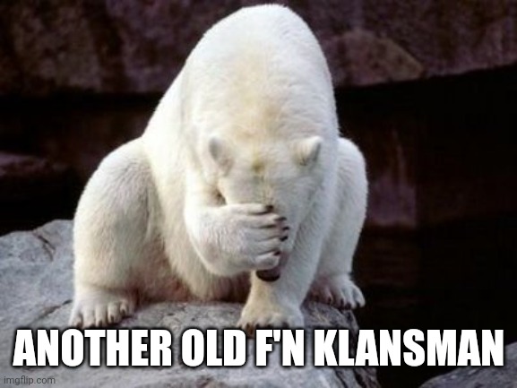 Bear face palm  | ANOTHER OLD F'N KLANSMAN | image tagged in bear face palm | made w/ Imgflip meme maker