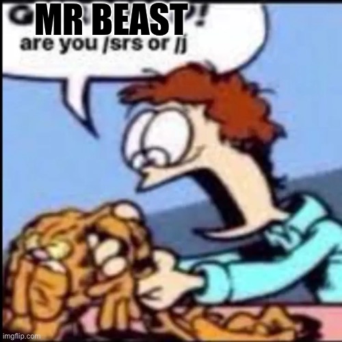 Garfield are you /srs or /j | MR BEAST | image tagged in garfield are you /srs or /j | made w/ Imgflip meme maker