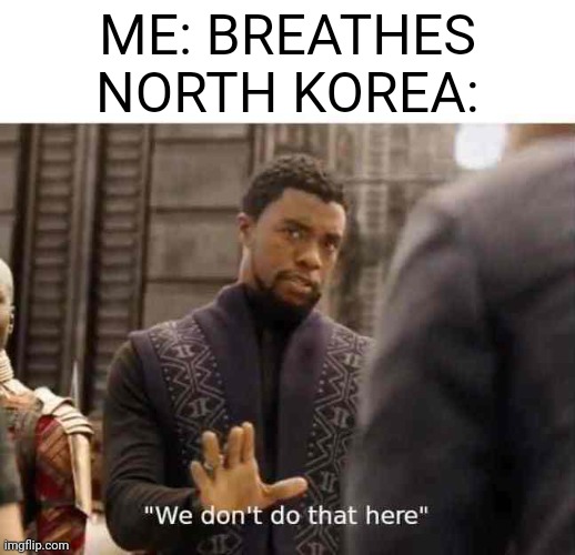 Lol | ME: BREATHES
NORTH KOREA: | image tagged in we dont do that here | made w/ Imgflip meme maker