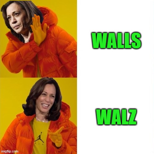 Drake Hotline Bling | WALLS; WALZ | image tagged in drake hotline bling | made w/ Imgflip meme maker