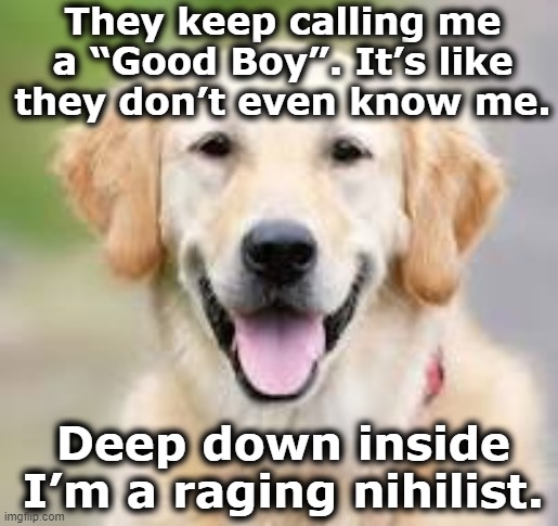 Good Boy | They keep calling me a “Good Boy”. It’s like they don’t even know me. Deep down inside I’m a raging nihilist. | image tagged in doggie,cute dog,funny dogs,dad joke dog,funny animals,funny animal meme | made w/ Imgflip meme maker