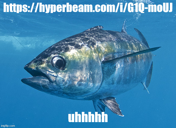https://hyperbeam.com/i/G1Q-moUJ | https://hyperbeam.com/i/G1Q-moUJ; uhhhhh | image tagged in tuna fish | made w/ Imgflip meme maker