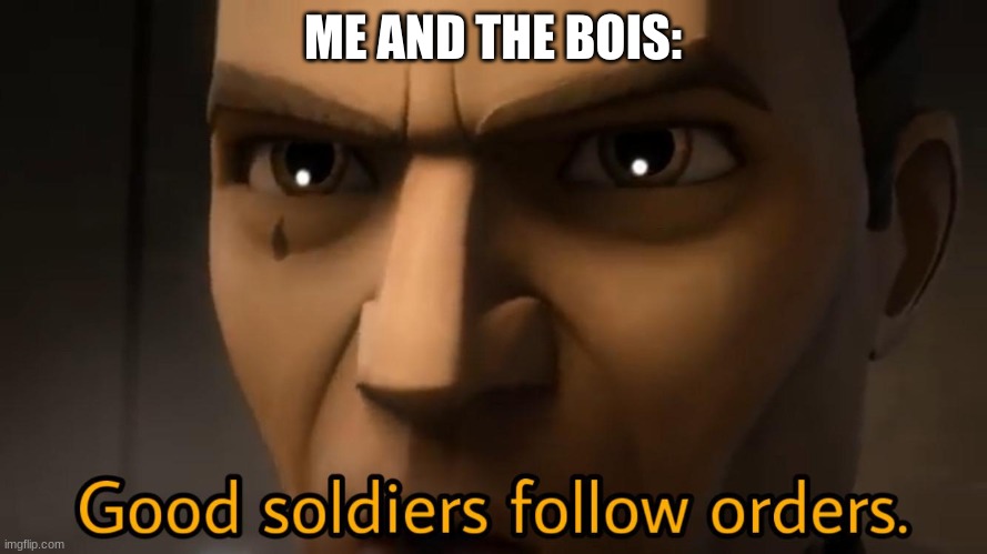 good soldiers follow orders | ME AND THE BOIS: | image tagged in good soldiers follow orders | made w/ Imgflip meme maker