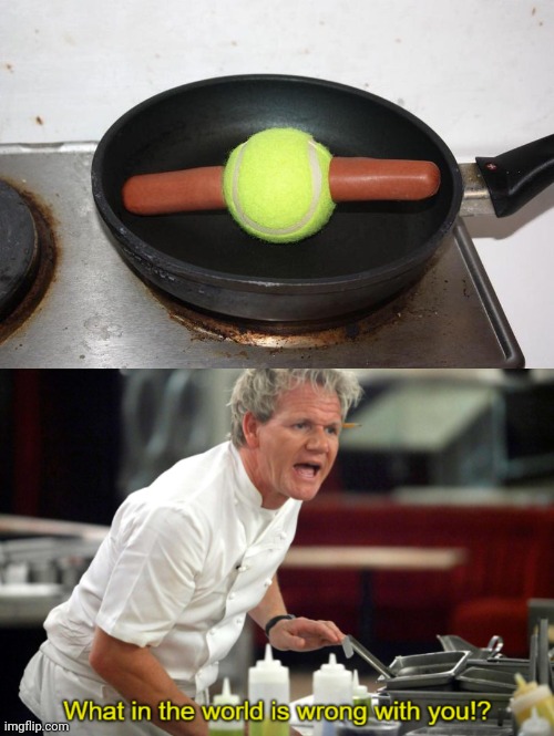 Tennis ball dog | image tagged in gordan ramsay what in the world is wrong with you,hot dog,tennis ball,ball,cursed image,memes | made w/ Imgflip meme maker