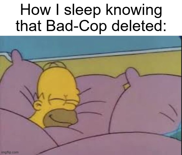 He was annoying as hell. | How I sleep knowing that Bad-Cop deleted: | image tagged in how i sleep homer simpson | made w/ Imgflip meme maker