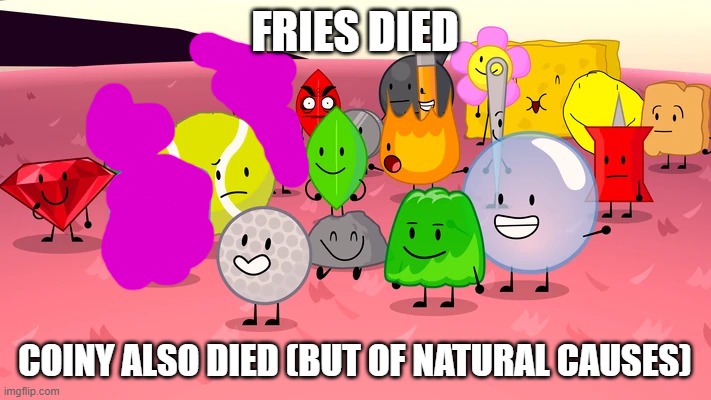 FRIES DIED; COINY ALSO DIED (BUT OF NATURAL CAUSES) | made w/ Imgflip meme maker