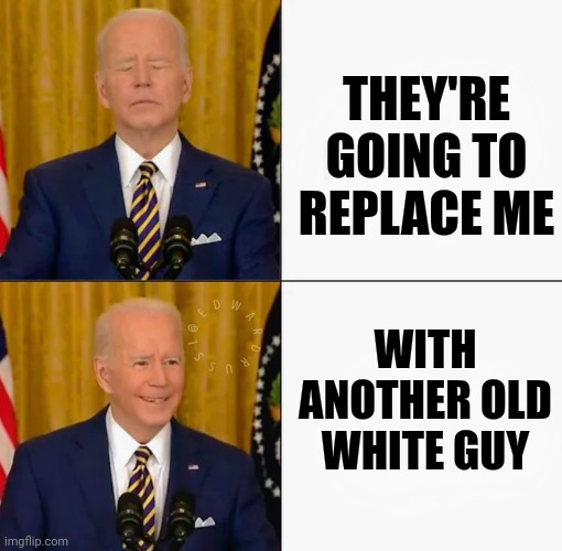 THEY'RE GOING TO REPLACE ME WITH ANOTHER OLD WHITE GUY | image tagged in brandon and joe bling | made w/ Imgflip meme maker