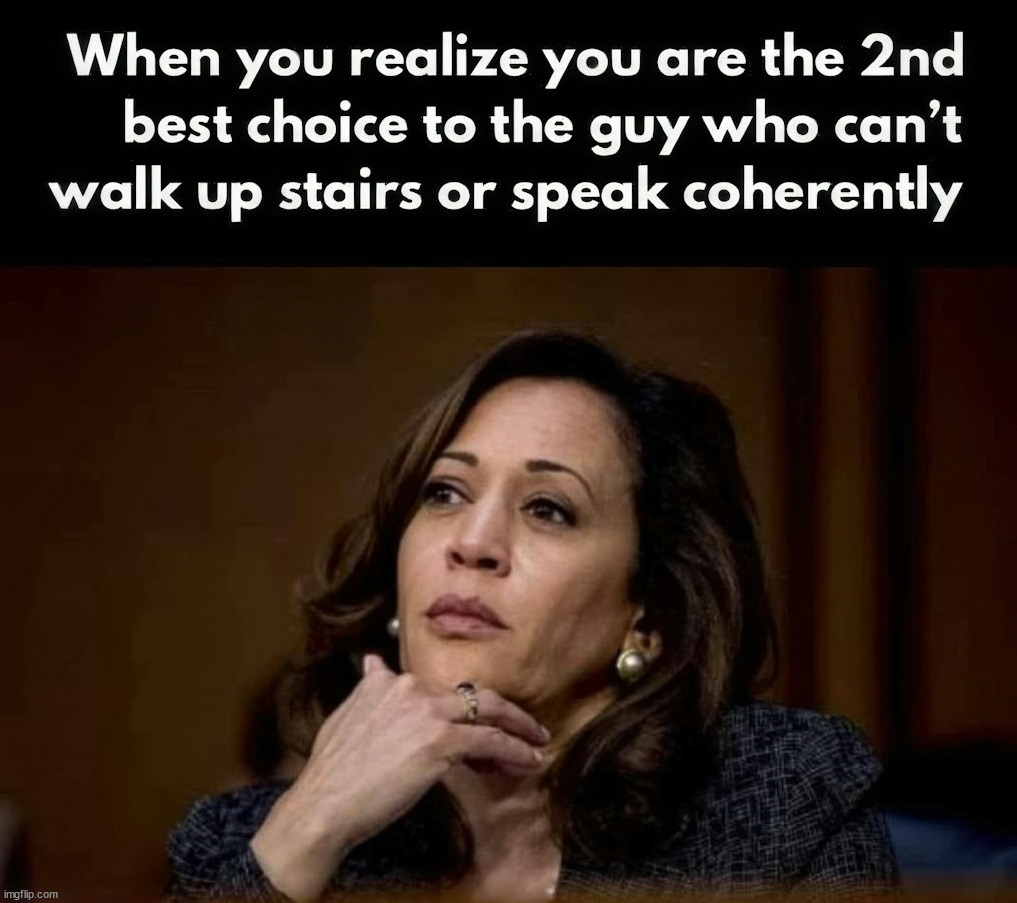 She got the participation trophy | image tagged in kamala harris,participation trophy | made w/ Imgflip meme maker