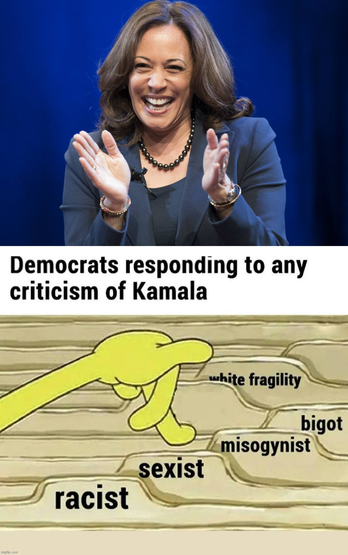 On the left if you disagree with them you must be ..... | image tagged in kamala harris laughing,disagree,democrats,politics | made w/ Imgflip meme maker