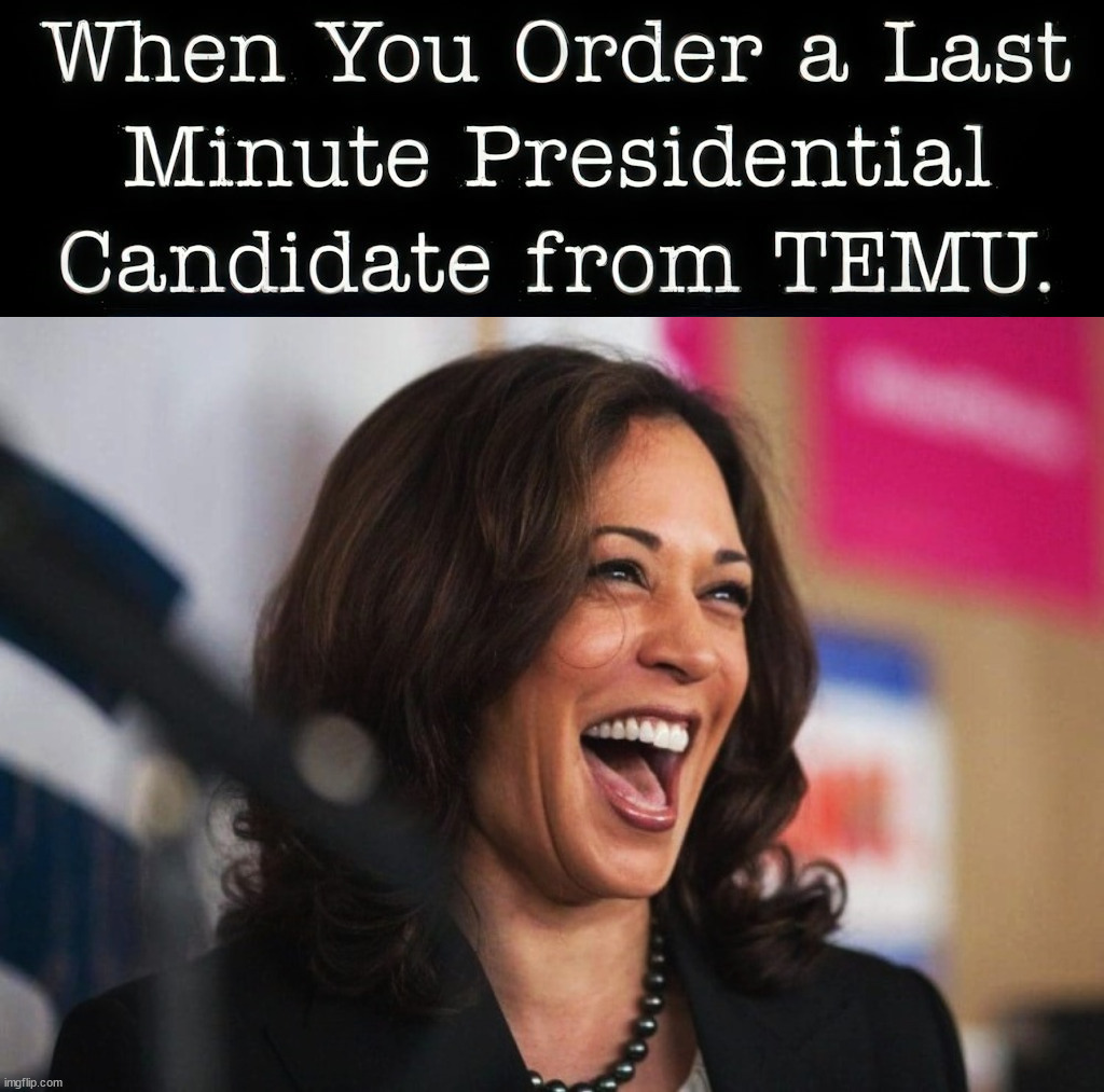 Not quite what you thought it would be | image tagged in cackling kamala harris,failure,politics | made w/ Imgflip meme maker