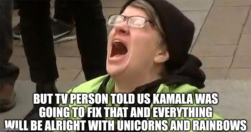 crying liberal | BUT TV PERSON TOLD US KAMALA WAS GOING TO FIX THAT AND EVERYTHING WILL BE ALRIGHT WITH UNICORNS AND RAINBOWS | image tagged in crying liberal | made w/ Imgflip meme maker