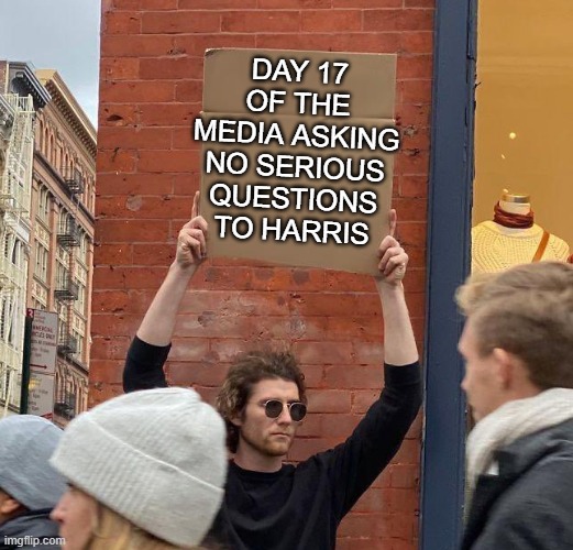 Man with sign | DAY 17 OF THE MEDIA ASKING NO SERIOUS QUESTIONS TO HARRIS | image tagged in man with sign | made w/ Imgflip meme maker