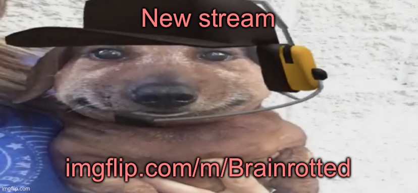 chucklenuts | New stream; imgflip.com/m/Brainrotted | image tagged in chucklenuts | made w/ Imgflip meme maker