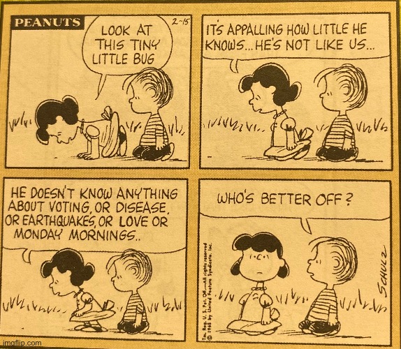 legit question | image tagged in funny,cartoon,penauts,linus and lucy,question,classic | made w/ Imgflip meme maker