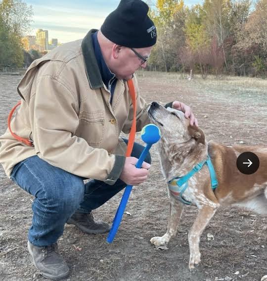 High Quality Tim walz dog Blank Meme Template