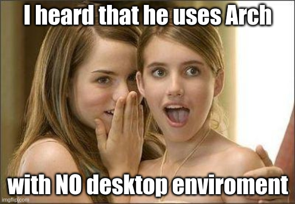 Girls gossiping | I heard that he uses Arch; with NO desktop enviroment | image tagged in girls gossiping,linux,programmer | made w/ Imgflip meme maker