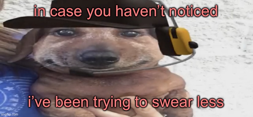 chucklen*ts | in case you haven’t noticed; i’ve been trying to swear less | image tagged in chucklenuts | made w/ Imgflip meme maker
