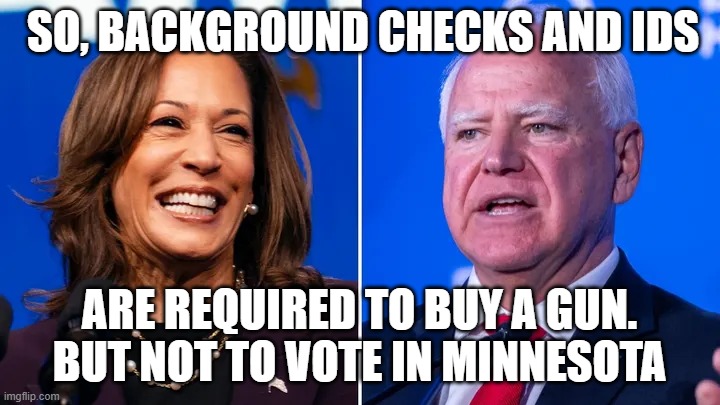 Dumb and Dumber Part II | SO, BACKGROUND CHECKS AND IDS; ARE REQUIRED TO BUY A GUN. BUT NOT TO VOTE IN MINNESOTA | image tagged in dumb and dumber part ii | made w/ Imgflip meme maker