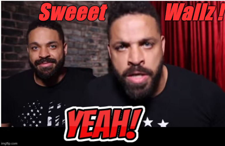 Them Sweet Walz ! | Sweeet              Wallz ! | image tagged in hodge twins yeah,political meme,politics,funny memes,funny,tim walz | made w/ Imgflip meme maker